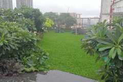 krishna-nursery-project-13