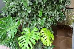 krishna-nursery-project-21