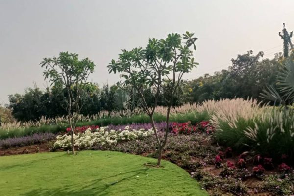 baramati-project (2)