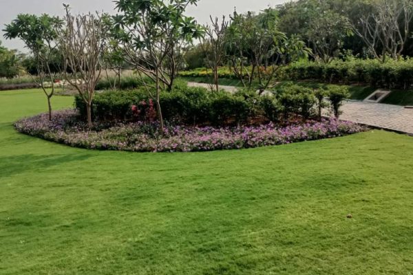 baramati-project (4)