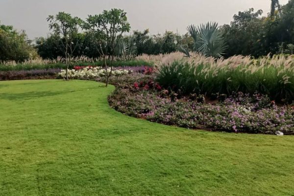 baramati-project (5)