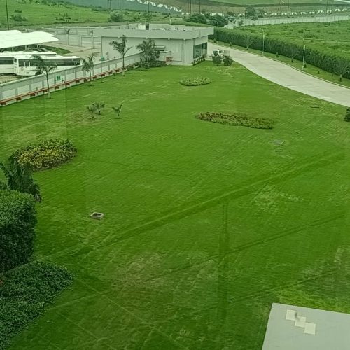 krishna-nursery-project (1)